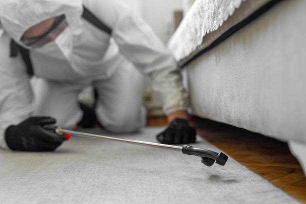 Professional Bed Bug Control technician working in Brecksville, OH